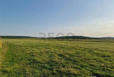 Teren de 500 mp, în Felcheriu - 1