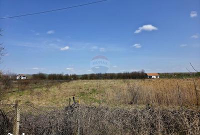 Teren de 7000 mp, în Girov - 9