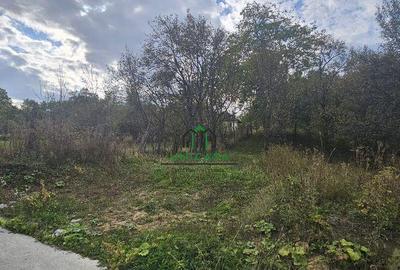 Teren intravilan 828 mp/Baile Govora - 2