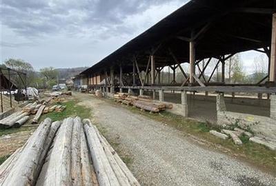 HALE-DEPOZIT DE VANZRE SI TEREN 10000 mp  AGAS jud.Bacau