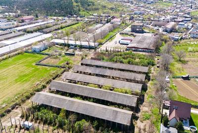 Teren Industrial 3Ha si Hala 1000mp de Vanzare in Tomesti - IASI - 6