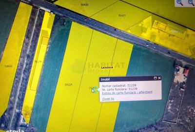 Teren de 15000 mp, în Nord - 6