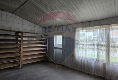 Casă cu 10 camere cu Teren 1000 Mp în Chisindia - 23