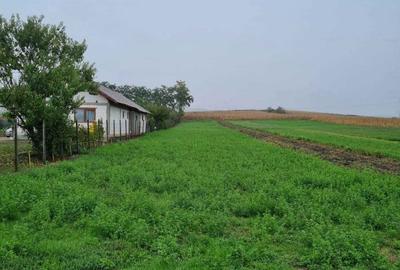 Spațiu comercial, în Sâncrai - 1