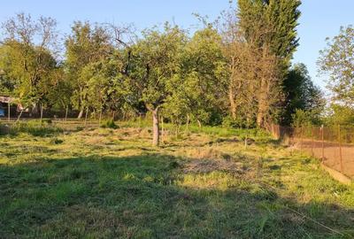 Se vinde in ?ibot Se vinde in ?ibot - 4