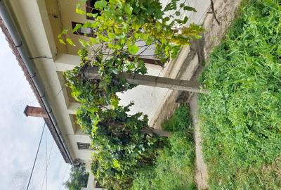 Casa de vanzare in Pocsaj Ungaria Casa de vanzare in Pocsaj Ungaria - 3