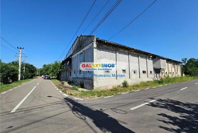Vanzare Moara cu spatii Industriale situate in comuna Daia jud Giurgiu - 31