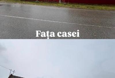 Casă individuală cu 3 camere cu Teren 2319 Mp în Sacoșu Mare - 2