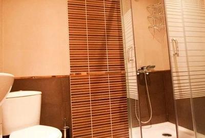 Apartament cu o camera de inchiriat in zona Dambul Rotund - 3