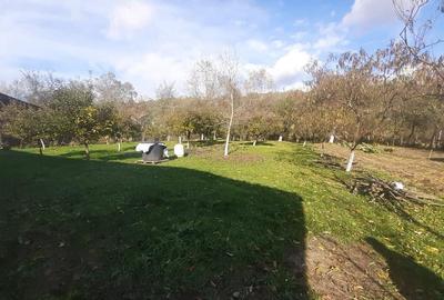 Arduzel, casa caramida - 8