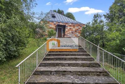 Cornu, Vedere la Padure, Vila D+P+M, 6600mp teren, 4 parcare - 7