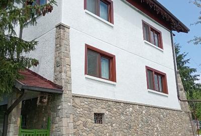 Vila unica,emblematica ptr zona,d p e m Vila unica,emblematica ptr zona,d p e m - 2