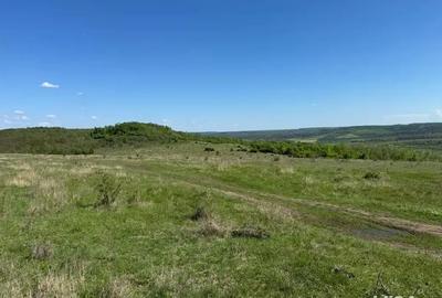 Teren de 480000 mp, în Prunișor - 5