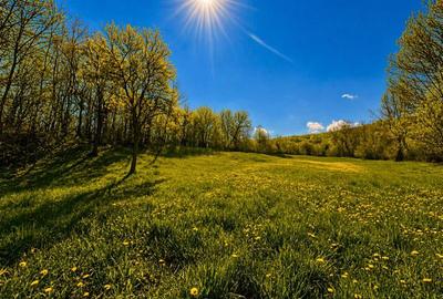 Casă individuală cu 2 camere cu Teren 3400 Mp în Suveica - 7