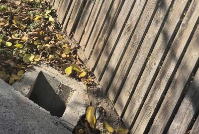 Se vinde teren intravilan – Comuna Ghimpați, Sat Ghimpați (Giurgiu) - 4