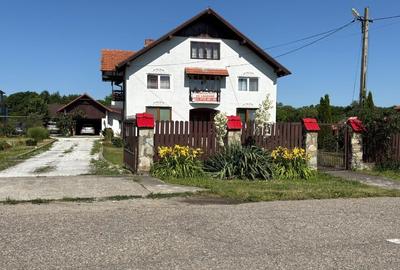 Casă Spațioasă și Domeniu Generos de Vânzare în sat Râu Barbat, comuna Pui, HD - 5