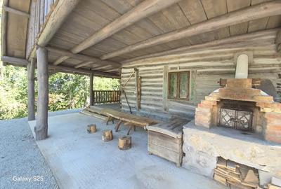 Cabana tradi?ionala - 5