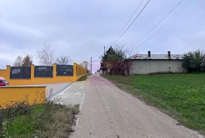 Teren Comana- strada Funieru. - 3