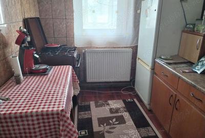 Apartament cu 3 camere decomandat în Vânju Mare - 8
