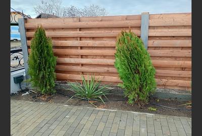 Casă cu 3 camere cu Canalizare în Mihail Kogălniceanu - 5