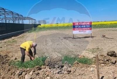 Teren Construcții intravilan de 5000 mp, în Dobroești - 8