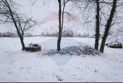 Teren de 1992 mp, în Coșoveni