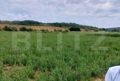 Teren de 27500 mp, în Răscruci - 6