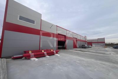 Inchiriere hala 600 mp Jilava - 2