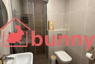 Apartament cu 2 camere în Ghencea - 11