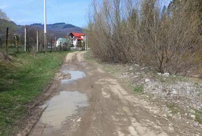 Vand teren Humor - Voronet 22.250 mp - 2