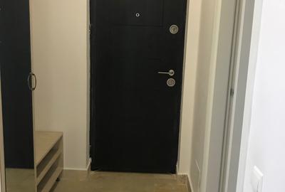 Apartament cu 2 camere decomandat, mobilat în Drumul Taberei - 8