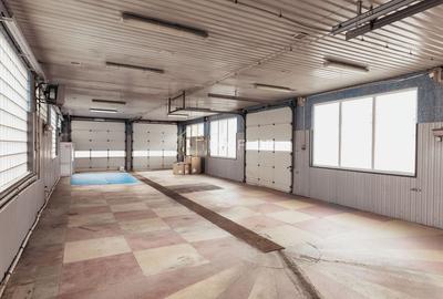 Hală multifuncțională | zona Shopping City - 2