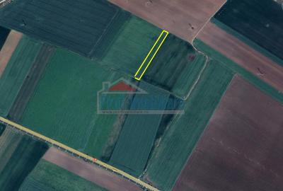 Teren agricol extravilan de 3500 mp, în Grădiște - 4