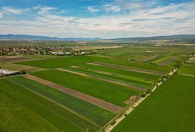 FILM! In areal linistit, acces facil, 5,000 mp teren extravilan, Bod, Brasov - 5