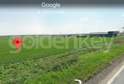 Teren 10.000 mp Constanta - Valu Traian - 2