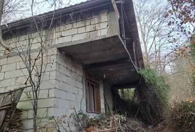 Casă cu 4 camere în Odvoș - 16