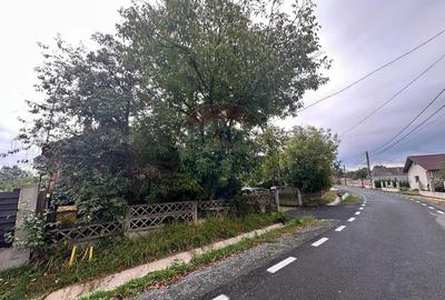 30 arii TEREN INTRAVILAN cu o GOSPODARIE veche - 18