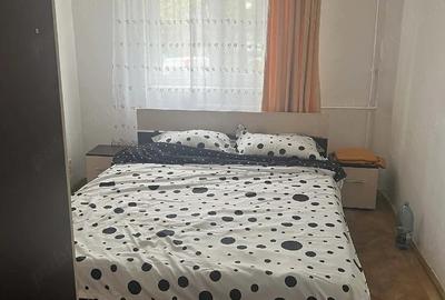 Apartament cu 3 camere semidecomandat în Valea Rosie - 1