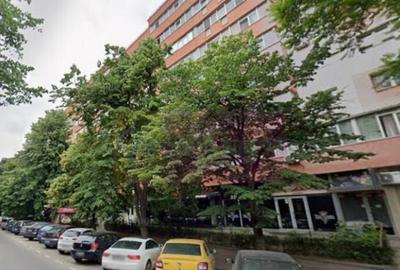 Inchiriere spatiu comercial in zona Teiul Doamnei, stradal - 2