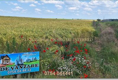 Teren de vanzare intravilan 5000mp localitatea Lazu - 1