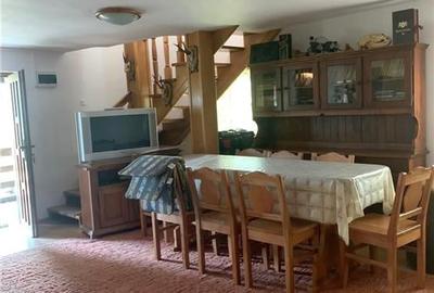 Cabana la munte, Colibita, jacuzzi, foisor - 5