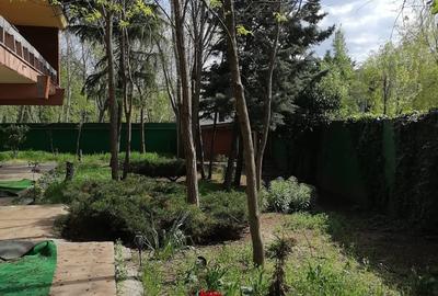 Casă individuală cu 12 camere cu Teren 1000 Mp în Central - 19