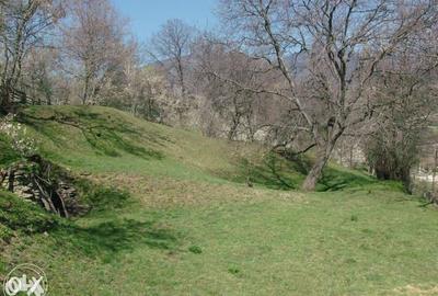 Teren Construcții intravilan de 3682 mp, în Măneciu-Ungureni - 6