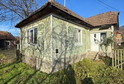 Oportunitate investitie in Casa familiala - 1