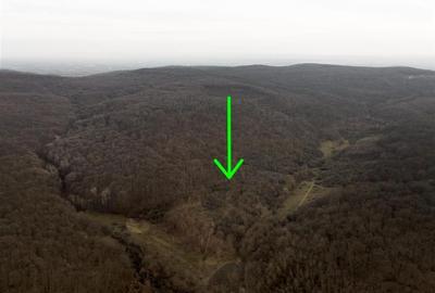 RECO . Teren extravilan . Saldabagiu de munte . - 3