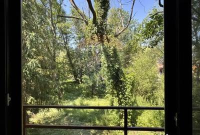 Casă cu 4 camere cu Teren 1300 Mp în Paltin - 3