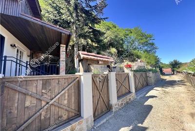 Casa individuala cu 3 camere 2 bai situata in Sibiel - 23