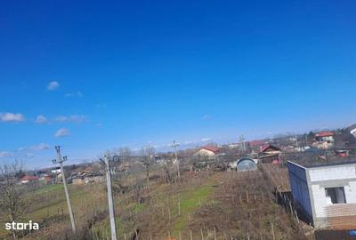 Spațiu comercial, în Coșoveni - 3