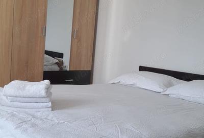 Vila+ teren de 2,2ha la 5 km de Vatra Dornei - 7