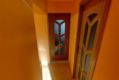 Apartament cu 2 camere decomandat, mobilat în Vest - 19